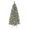 6.5ft. Pre-Lit Snowy Valley Pine Artificial Christmas Tree, Warm White LED Lights